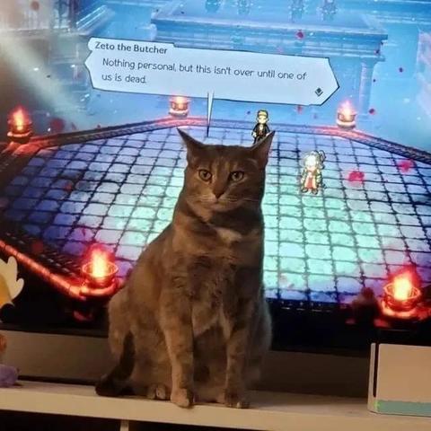 Photo of a cat looking at the viewer and sitting in front of a TV screen with an in game caption that reads:

Zeto the Butcher
Nothing personal, but this isn't over until one of us is dead.