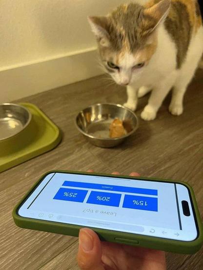 Photo of an angry looking cat by its food bowl with a person holding up a "Leave a Tip" screen on a phone. 
［ 15% ］ ［ 20% ］ ［ 25% ］
［ Custom ］