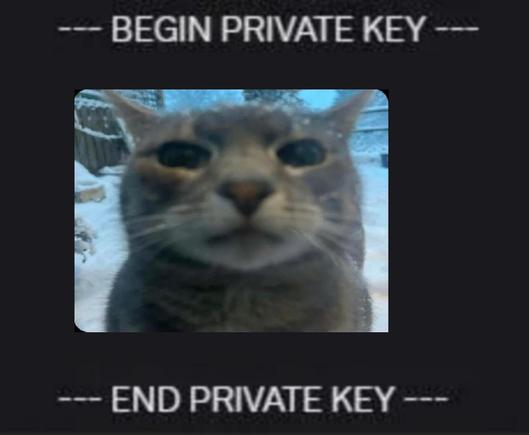 --- BEGIN PRIVATE KEY ---

[Photo of a cat staring at the camera.]

--- END PRIVATE KEY ---