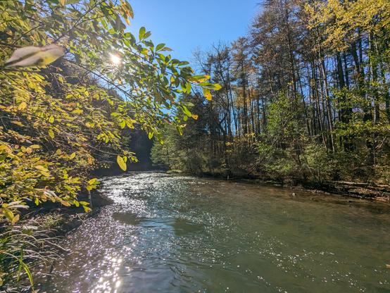 The sun shining through autumn leaves on a flowing river