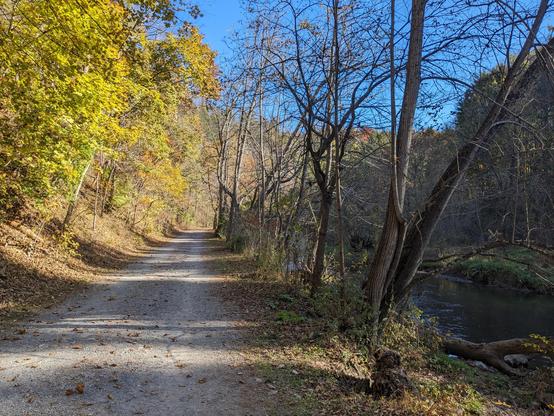 A gravel path between brilliant autumn trees in sunshine and a flowing river in shade